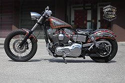 harley davidson dyna snake