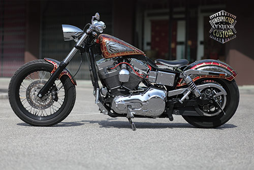 harley Davidson dyna snake