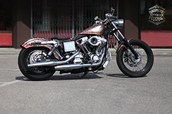 harley Davidson dyna snake