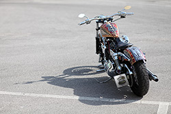 harley Davidson dyna snake