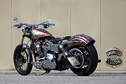 harley Davidson dyna snake