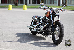 harley Davidson dyna snake
