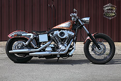 harley Davidson dyna snake
