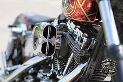 harley Davidson dyna snake