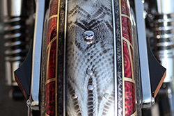 harley davidson dyna snake