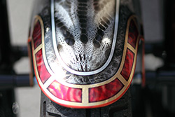 harley Davidson dyna snake
