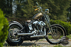 Harley-Davidson Softail Springer 1340 Mustang Chopper Vintage Baroque1