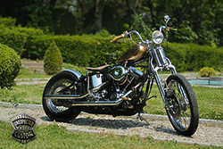 Harley-Davidson Softail Springer 1340 Mustang Chopper Vintage Baroque1