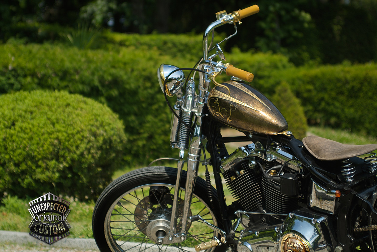 harley davidson mustang tank