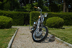 Harley-Davidson Softail Springer 1340 Mustang Chopper Vintage Baroque1