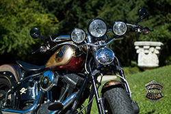 Harley Davidson Softail Blackjack