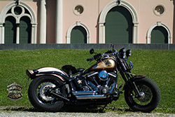 Harley Davidson Softail Blackjack