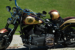 Harley Davidson Softail Blackjack