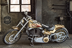 harley davidson medusa custom