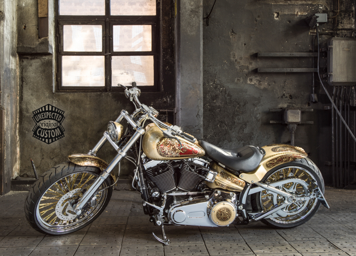 harley davidson medusa custom