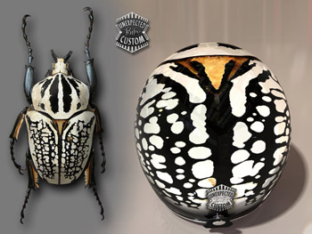 Casco Beetle Goliatus Helmet
